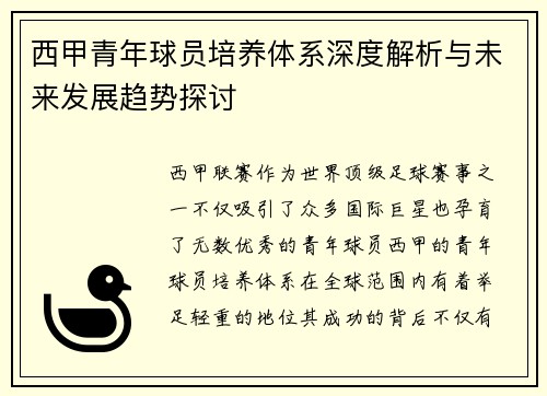 西甲青年球员培养体系深度解析与未来发展趋势探讨